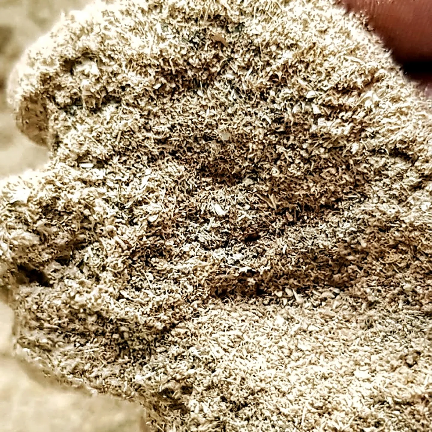 Hemp micro shives macro photograph